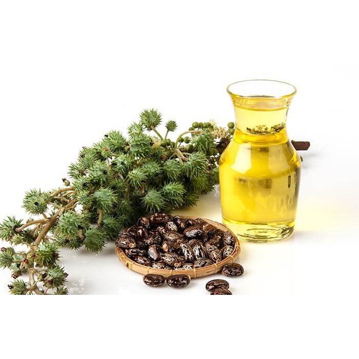 CASTOR OIL (Minyak Jarak)