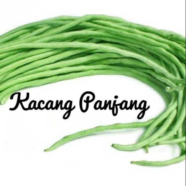 

Kacang Panjang 250 gr