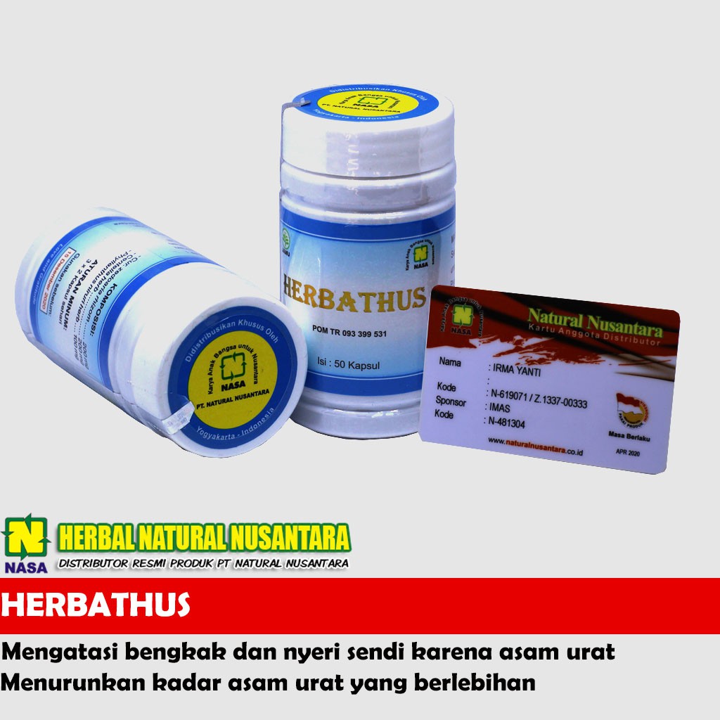 

HERBATHUS NASA , MENGATASI NYERI SENDI KARENA ASAM URAT