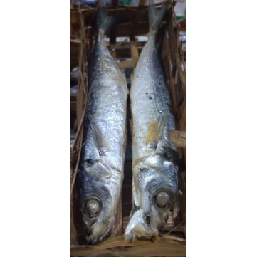 

IKAN BESEK Mulai dari Rp7.000~29.000 ( Bandeng Presto, Tongkol, Benggol, Salem, Cuwi, dll)