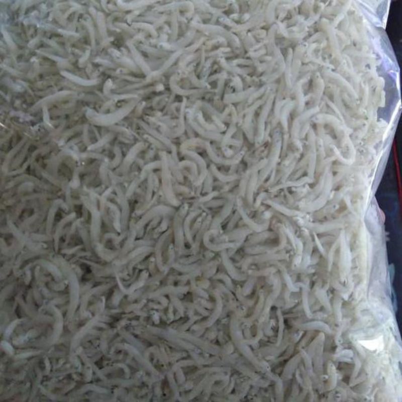 

Terinasi medan kualitas super super 500 gr 75000