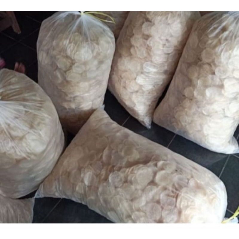 

keripik kaca mentah