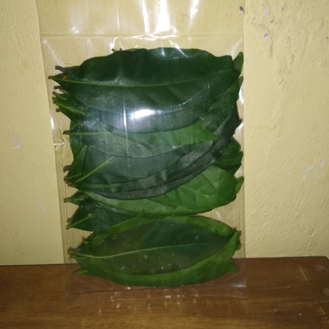 

Daun salam segar 250gram