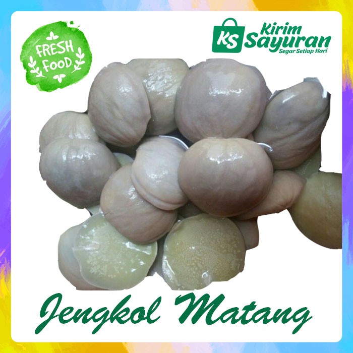 

Jengkol Matang Rebus / Jelok / Jariang (pack)
