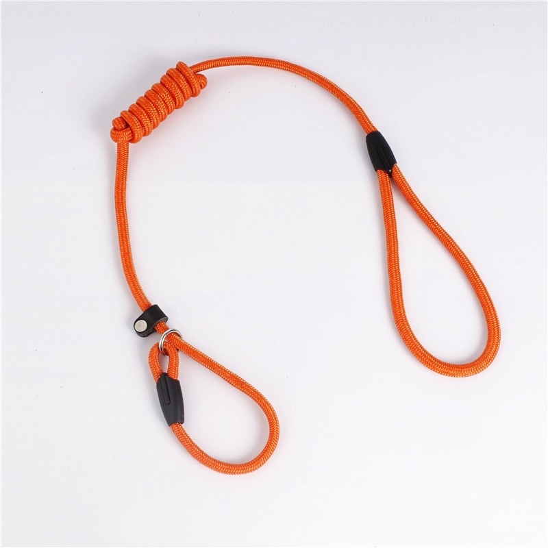 Pawpet walking training leash