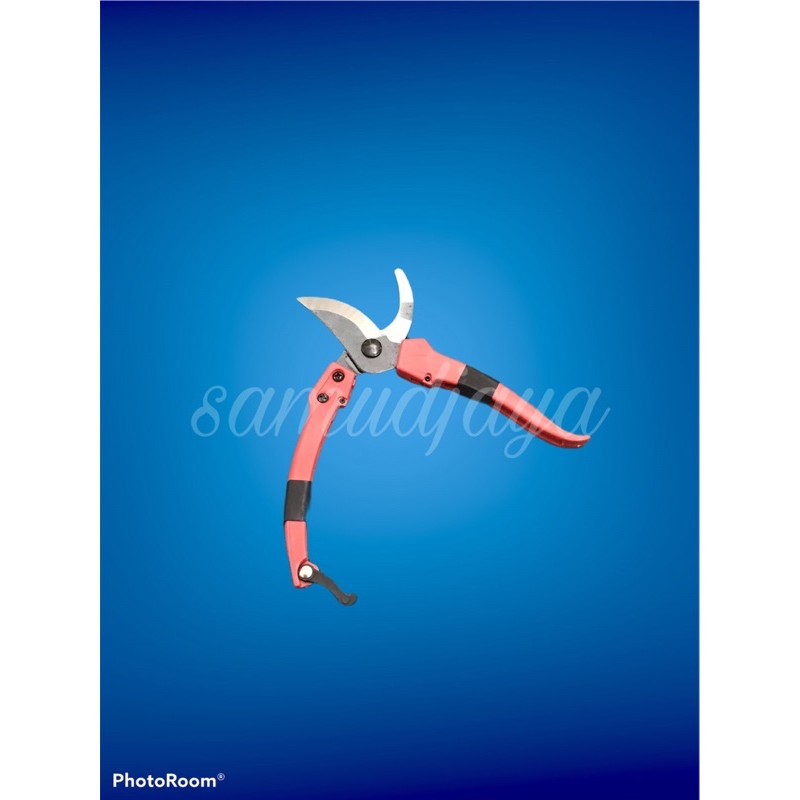 gunting dahan ranting pohon