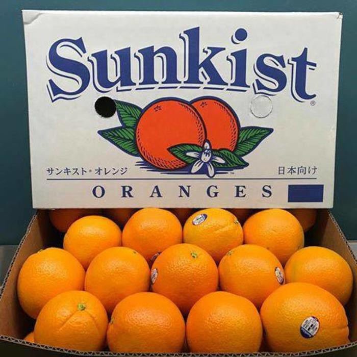 

Jeruk Sunkist Navel