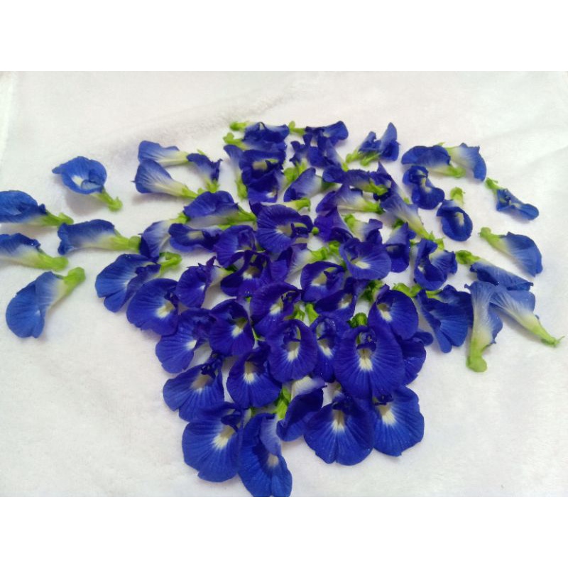 

Bunga Telang Kering 10g / Butterfly Pea Tea