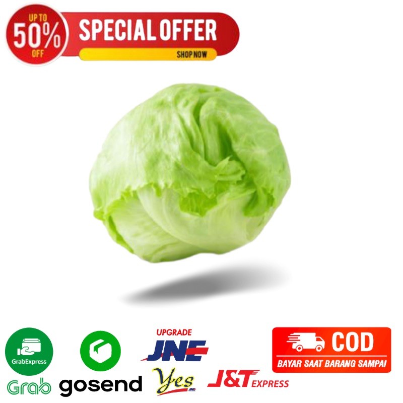 

selada bulat super per 1 pcs sayuran segar bandung pengiriman instant daerah Bandung