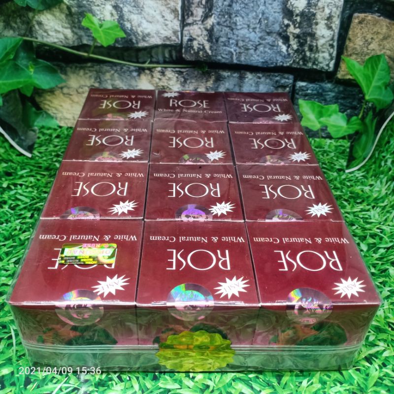 ( 12PCS )CREAM ROSE ORIGINAL 100%