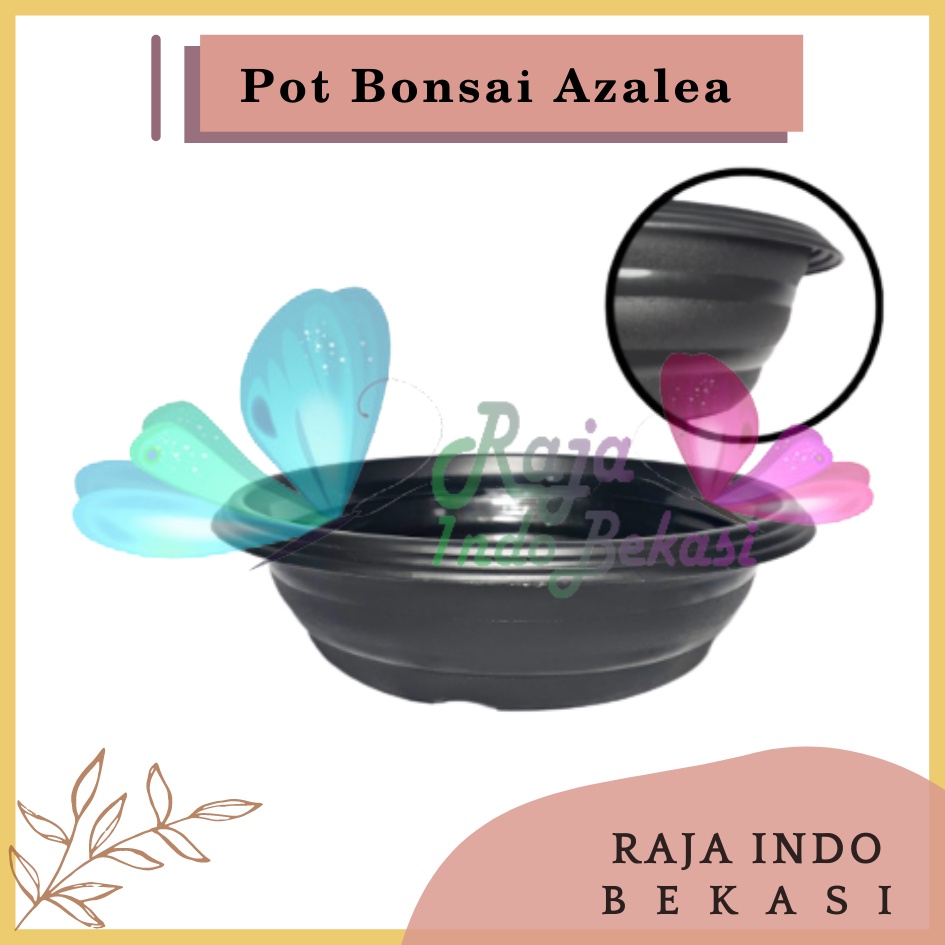 Pot Bonsai Azalea 25 Cm Hitam By Garden Of Love Pot Bonsai Tawon Ceper Plastik Utk Bonsai Kelapa