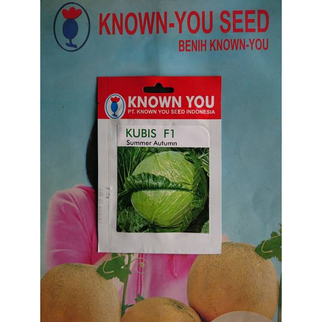 Benih Biji Bibit Kubis Dataran Rendah SUMMER AUTUMN