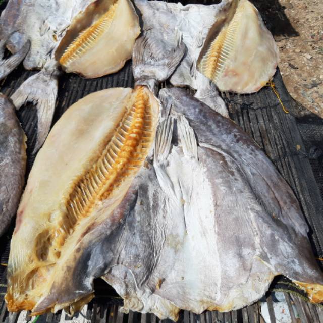

IKAN ASIN JAMBAL ROTI KWALITAS SPECIAL