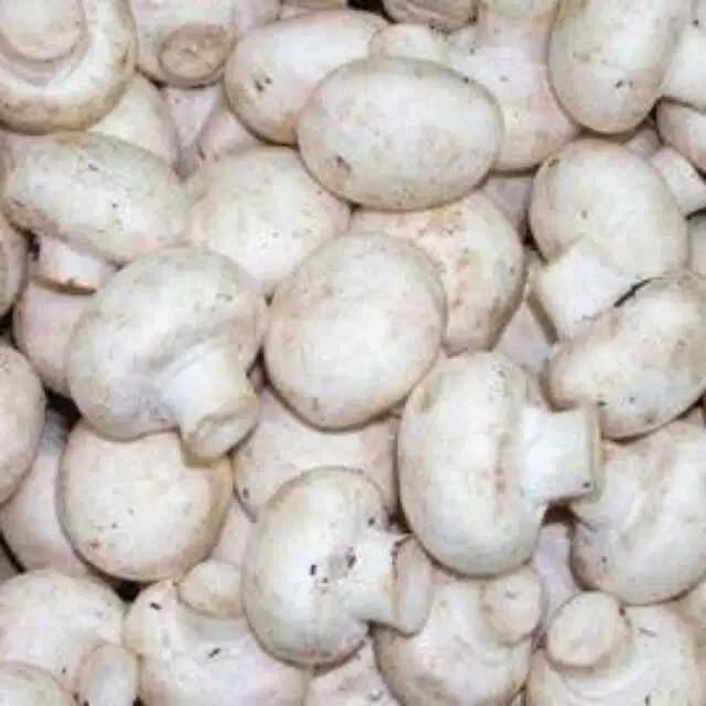 

Jamur kancing / 500gr sayur fresh, murah dengan kualitas terjamin.