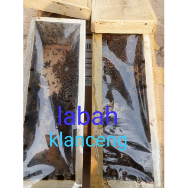 BIBIT TRIGONA LEVICEP/KELULUT/KLANCENG KOLONI SUPER