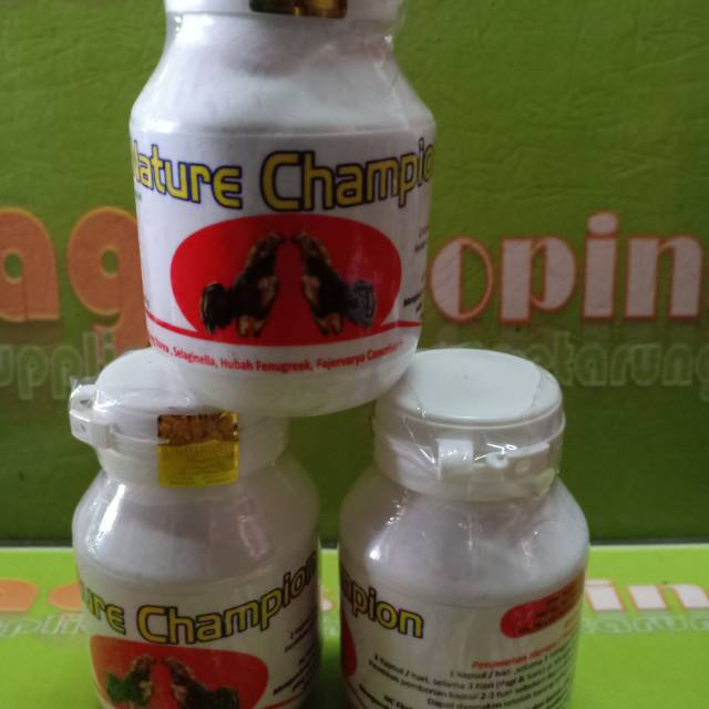 nature champion vitamin tenaga herbal jamu ayam burung merpati