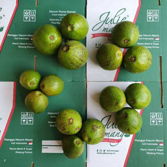 

Alpukat Mentega Julie Mango Ukuran 1 Box Ukuran Medium Isi 10 - 12 pcs Berat 3 Kg