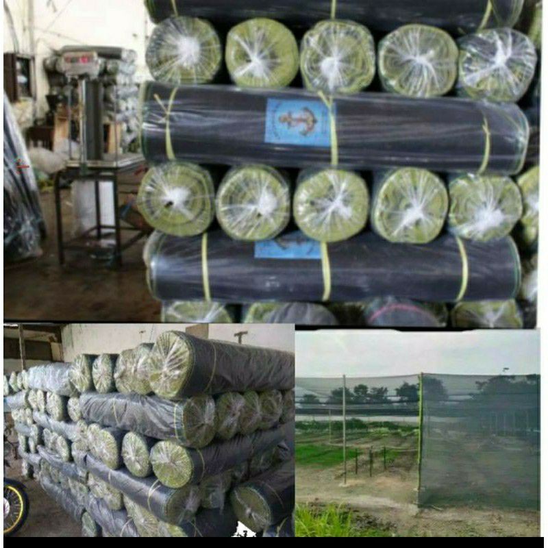 Waring Pagar / Waring Tanaman