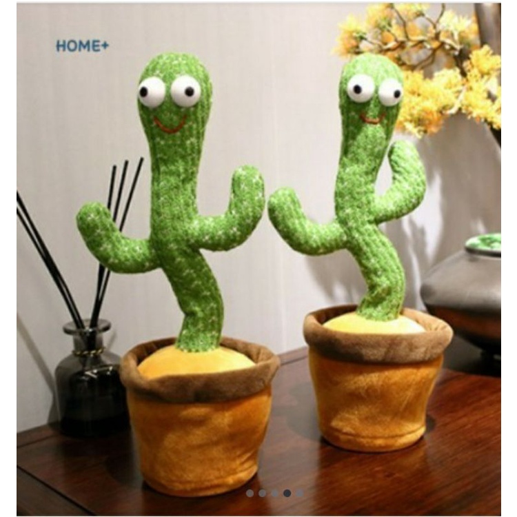 kaktus bernyanyi kaktus dencing kaktus bicara