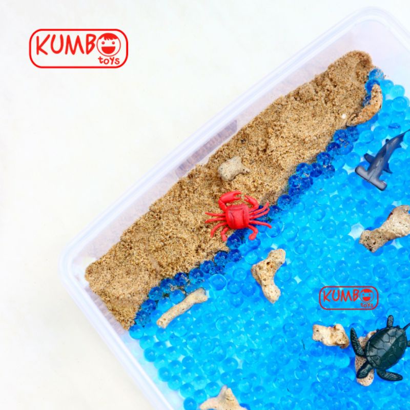 Ocean Sensory Box | Mainan Montessori Sensory Play