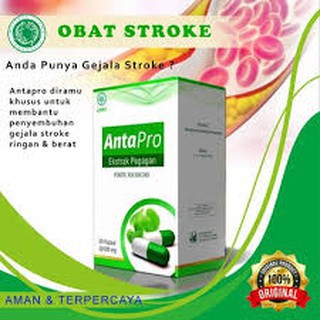 

Obat stroke herbal antapro bharata