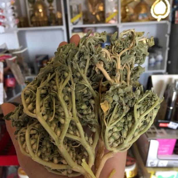 

<Y-IXY <♥ // RUMPUT FATIMAH HERBAL PELANCAR PERSALINAN, SANGAT BAGUS BUAT IBU HAMIL JUGA, ORIGINAL ARAB SAUDI <banyak diminati
