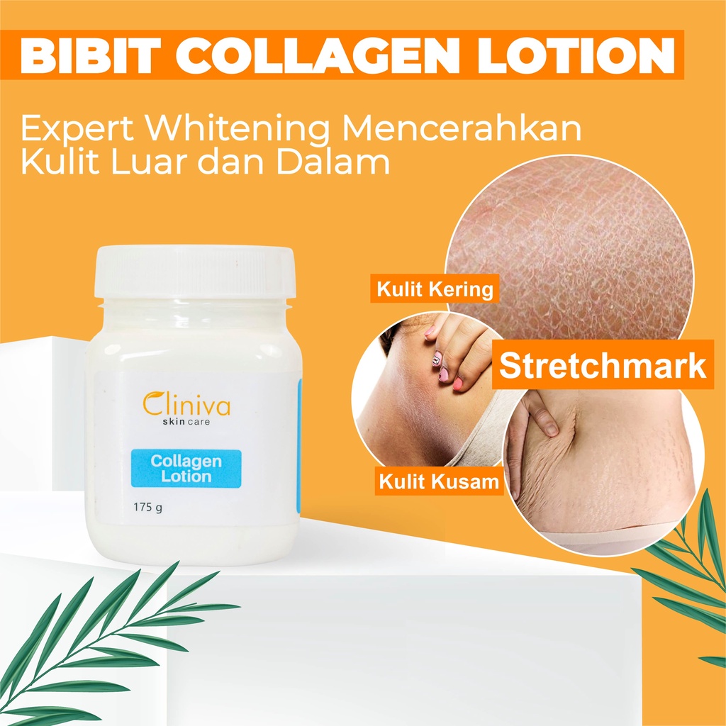 Cliniva Cream Collagen Body Lotion Skincare - Cream Cliniva - Body Lotion Cliniva Skincare - Cliniva