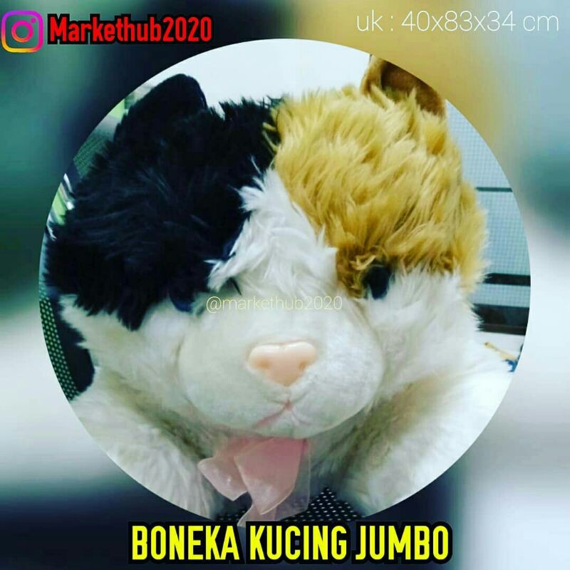 Boneka Kucing Besar Murah Bahan Lembut Lucu Boneka Cat Jumbo Boneka Karakter Binatang kucing