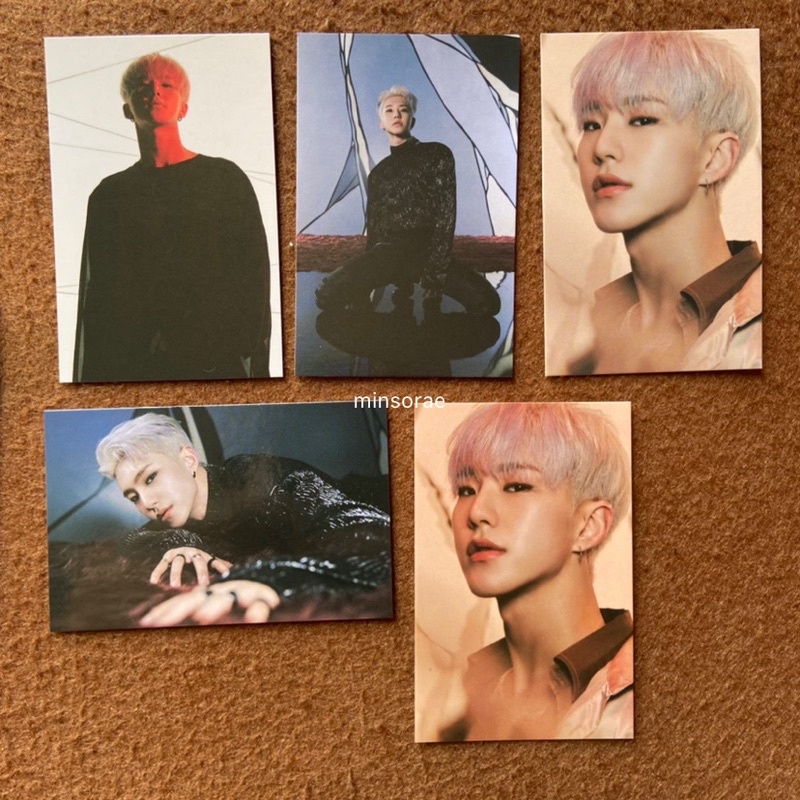 SEVENTEEN Hoshi Spider Trading Card