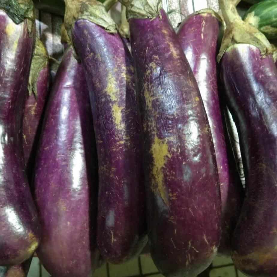

Terong - 1,0 kg
