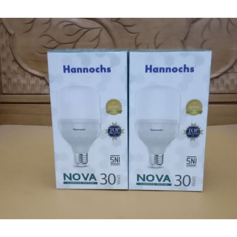 lampu led hannochs 30 watt