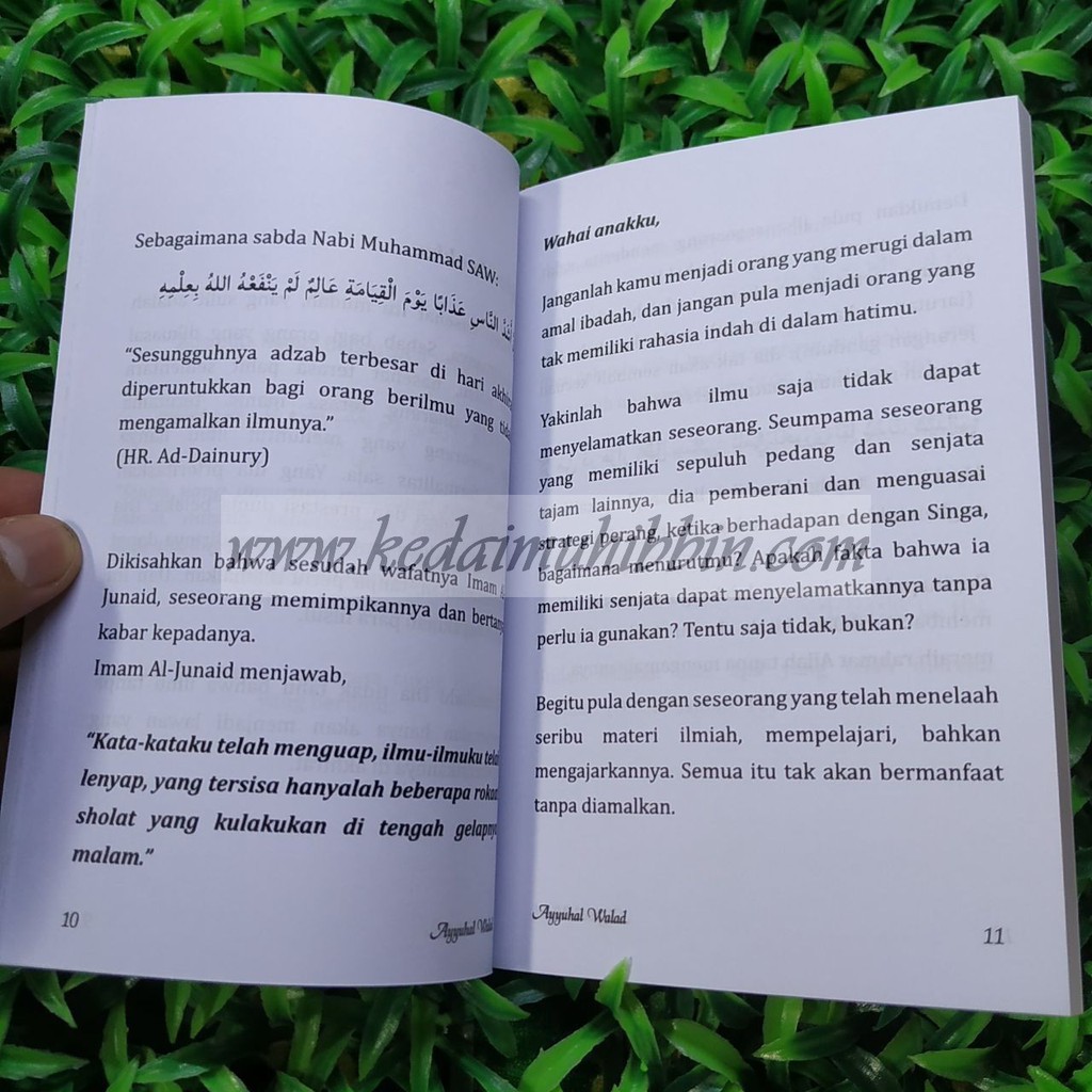 Wahai Anakku Terjemah Kitab Ayyuhal Walad Oleh Ustadzah Halimah Alaydrus Original Termurah Shopee Indonesia