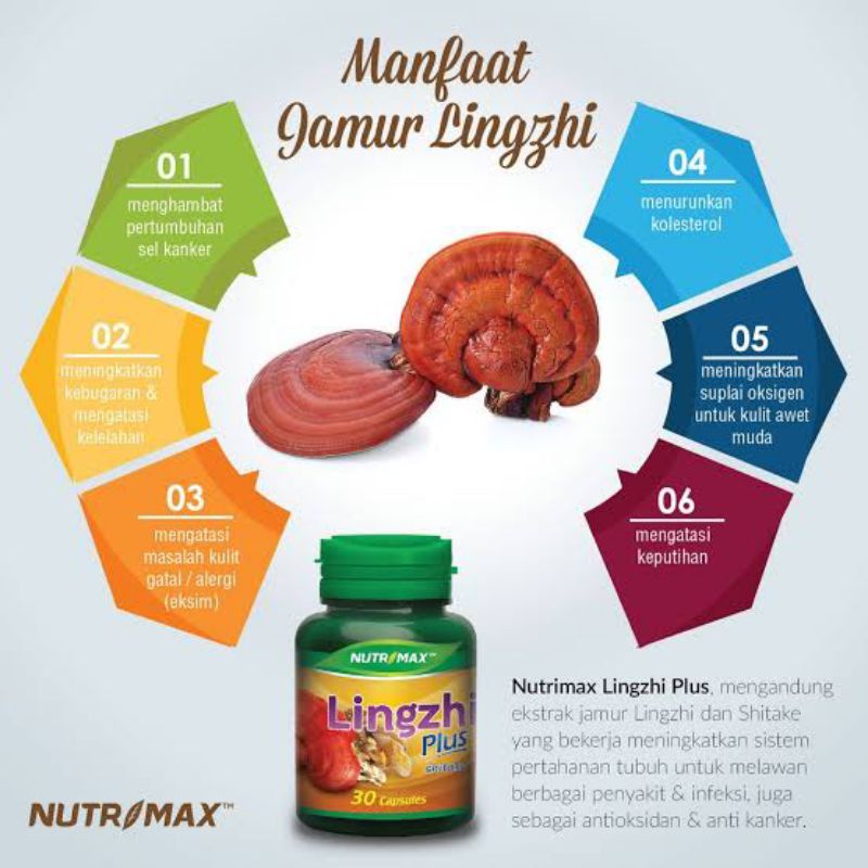 Nutrimax Lingzhi plus 30 capsul || Lingzhi plus