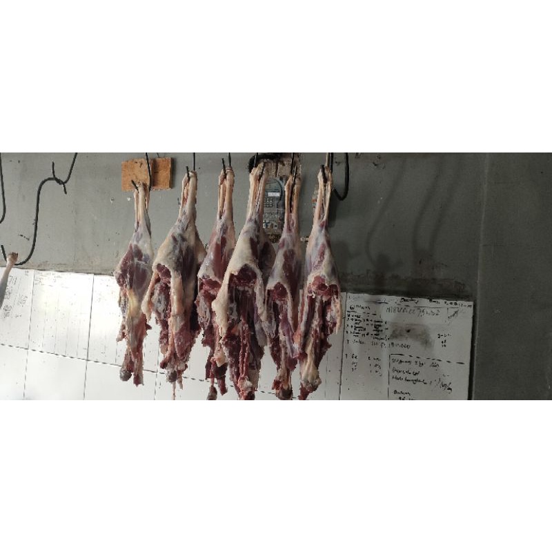 

Iga Kambing