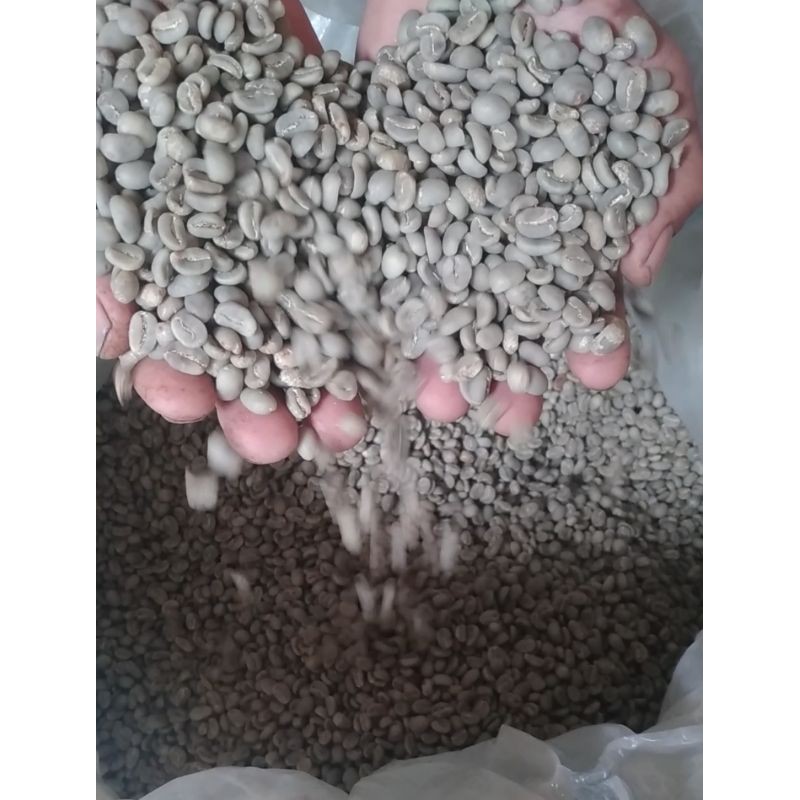 

arabika gayo single origin atu lintang semiwash dry hulled