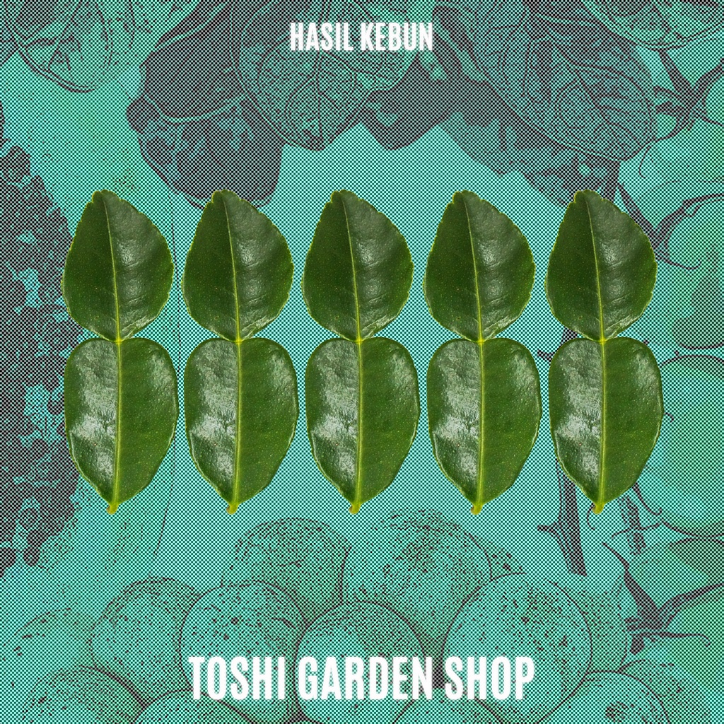 

DAUN JERUK PURUT 50 GR (HASIL KEBUN)