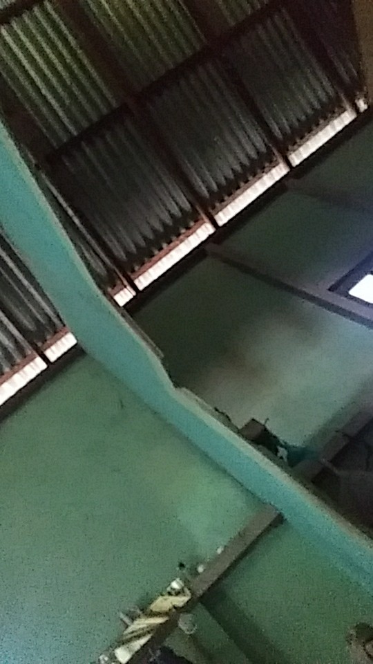 Electric Heating Cup 12cm/mug Listrik Gelas Masak/teko Listrik