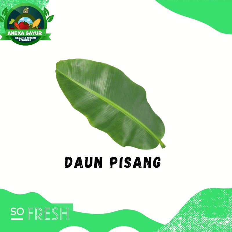 

Daun Pisang