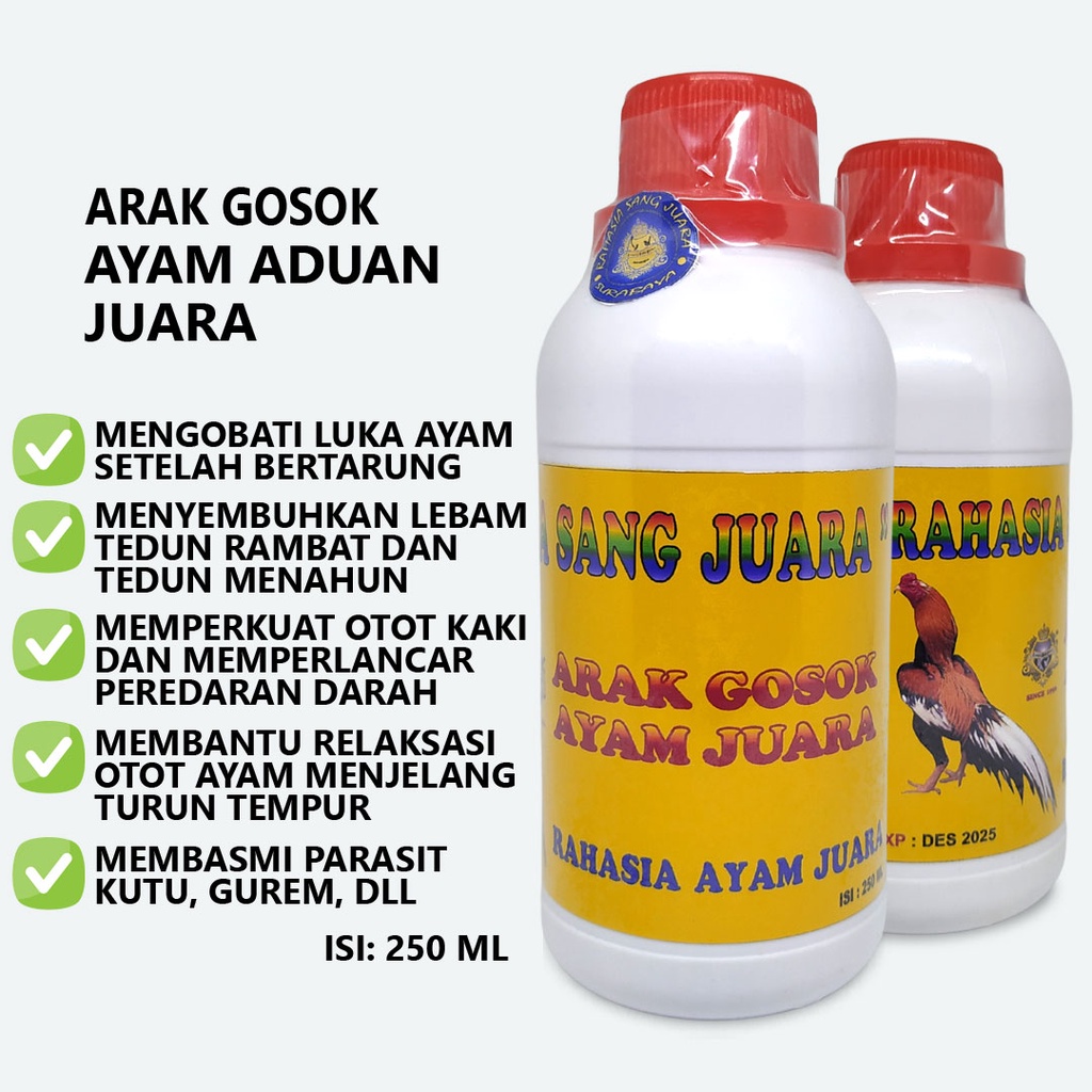 ARAK GOSOK AYAM ADUAN OBAT TEDUN AYAM MENGOBATI LUKA AYAM SETELAH BERTARUNG