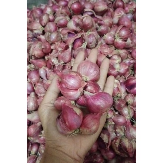 

Bawang merah lokal Nganjuk / Brambang Nganjuk / Bawang merah super / Bamer / Bawang merah kering 1kg