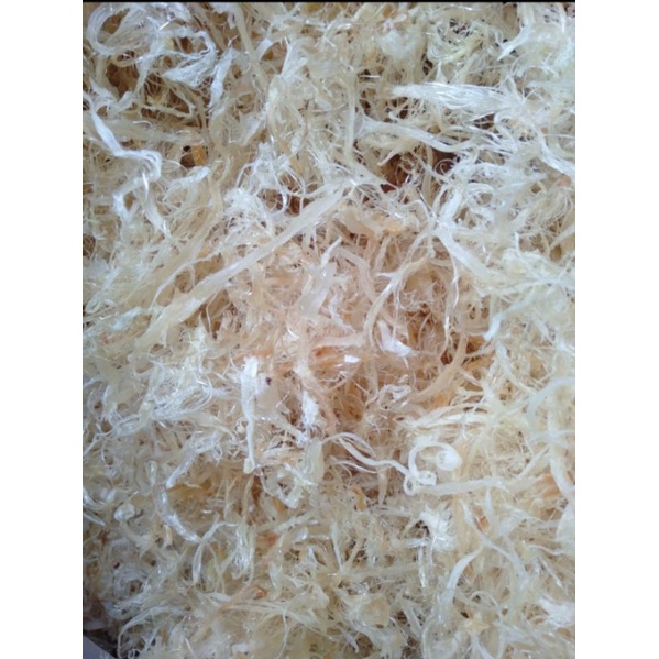 

siripikan/hisit/sharkfin