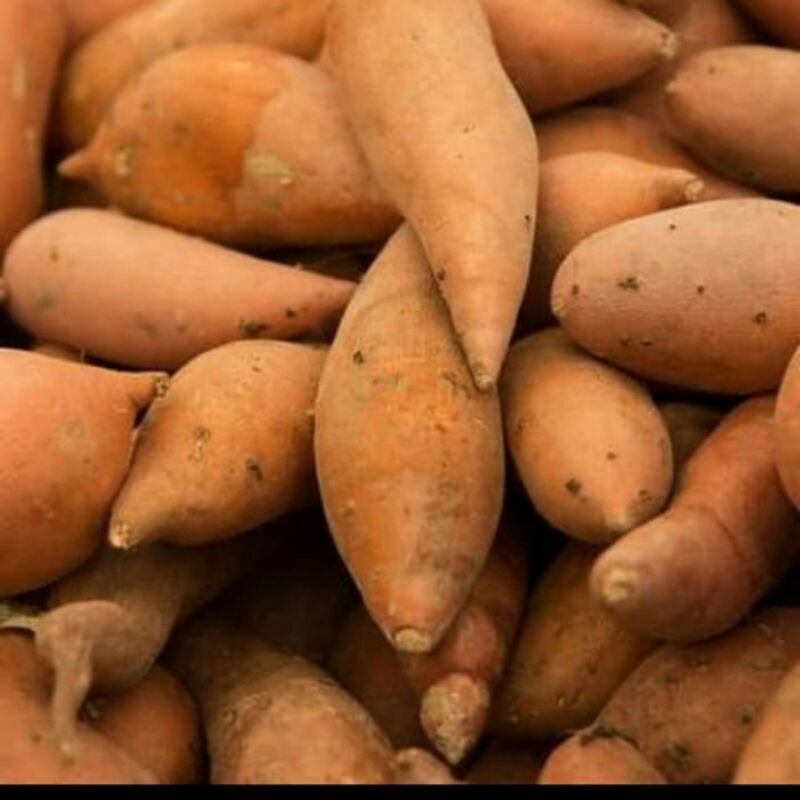 

Ubi jalar orange mentahper 1 kg