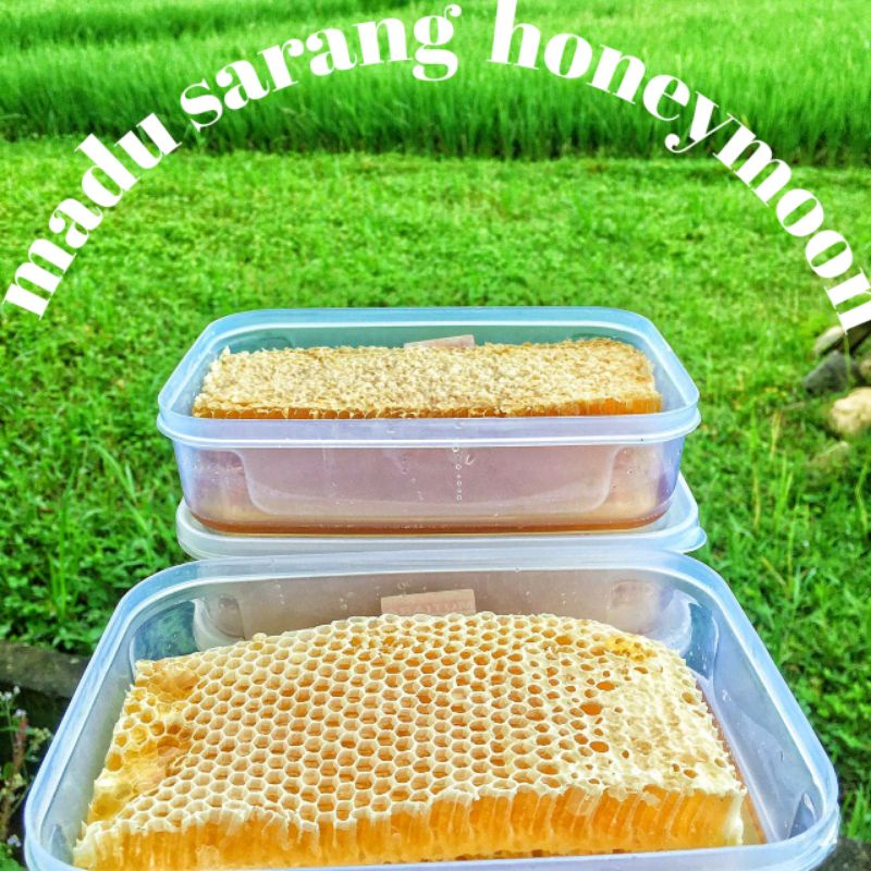 

MADU SARANG ASLI