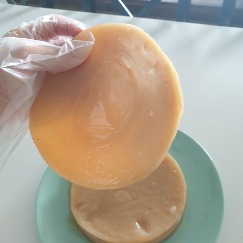 

Scoby bibit kombucha tea diameter 10 & 16 cm + starter tea minuman probiotik teh fermentasi diy
