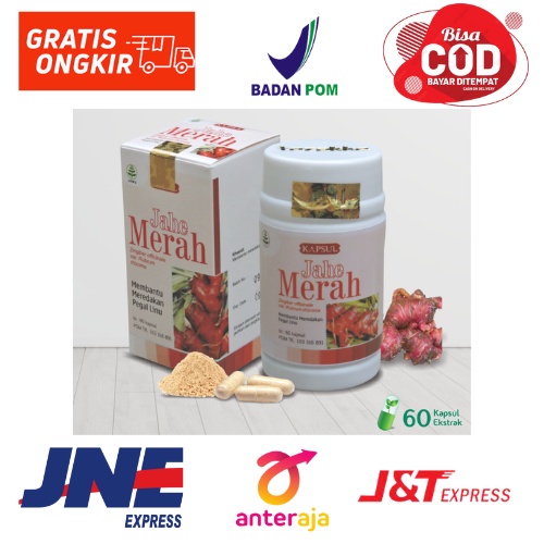 

mengobati pegal linu nyeri sendi EKSTRAK JAHE MERAH tazakka penghangat badan Alami BPOM HALAL ORIGINAL