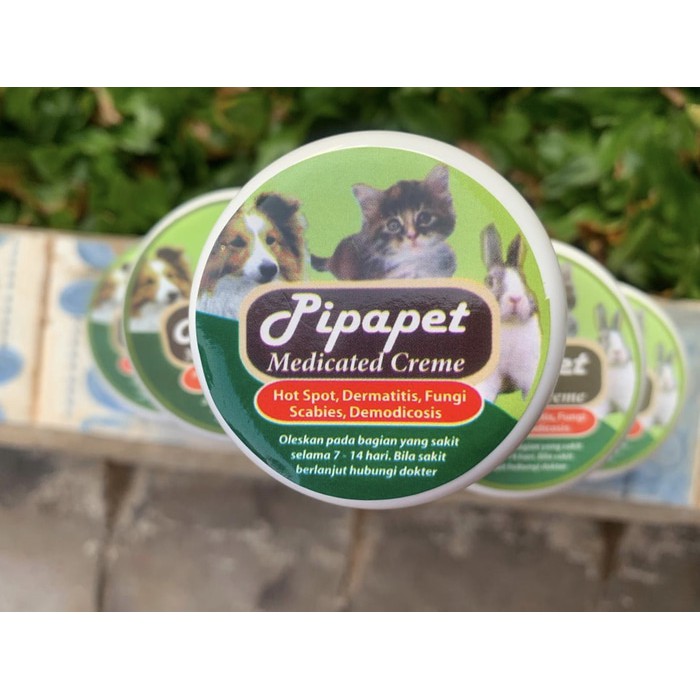 Salep Pipapet / Salep Kulit Anjing / Salep Jamur Anjing Kucing Kelinci / Salep Jamur Berkualitas Unt