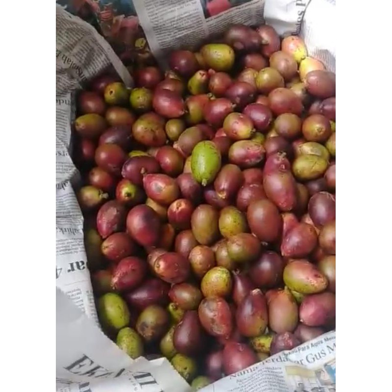 

buah segar