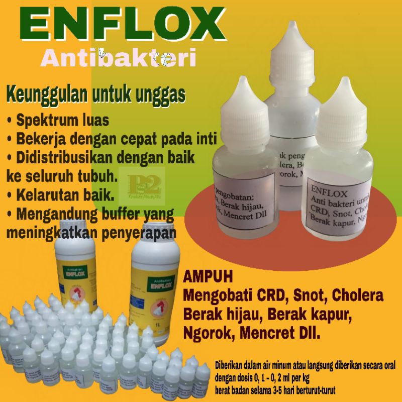 ENFLOX OBAT AYAM SNOT CRD NGOROK MENAHUN OBAT TETELO