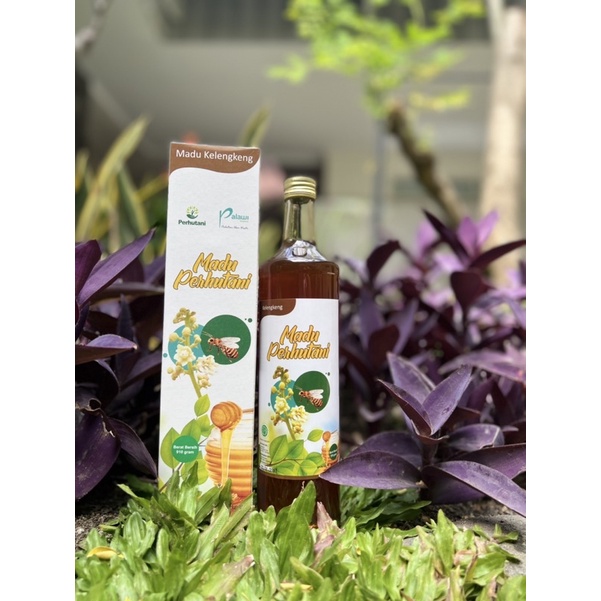 

Madu Perhutani 100% Madu Murni 650 ml (Botol Kaca)