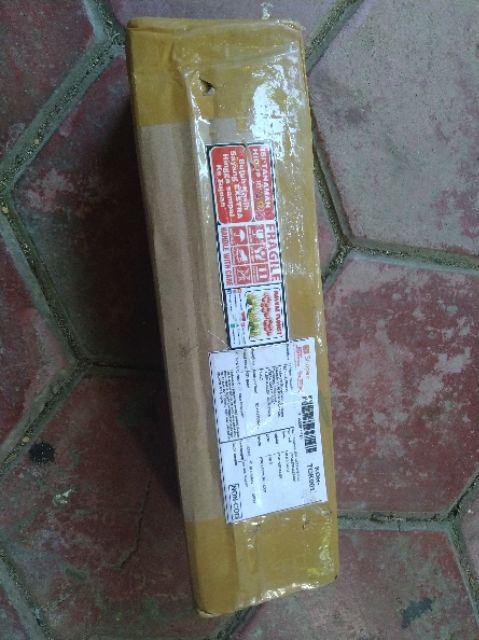 Tanaman Hias - Bibit Bunga Gloxinia